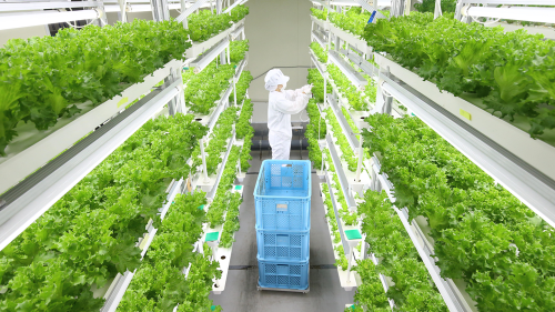 Techno Farming Recycling Manure and Cutting Carbon Chicago